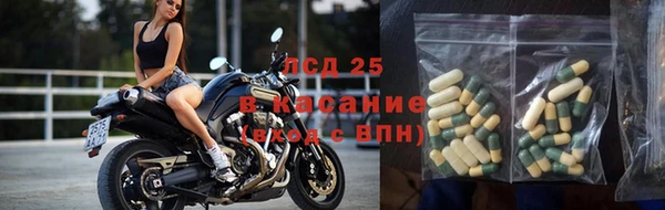 шишки Алексеевка