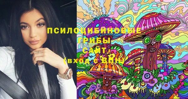 шишки Алексеевка