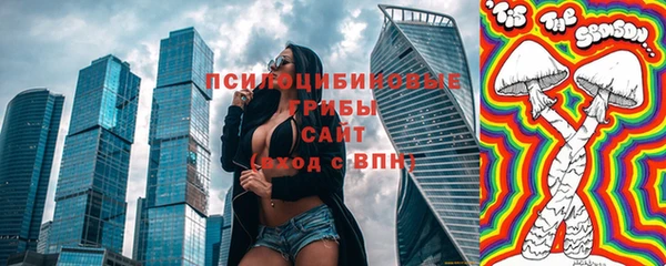 шишки Алексеевка