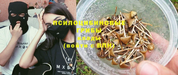 шишки Алексеевка